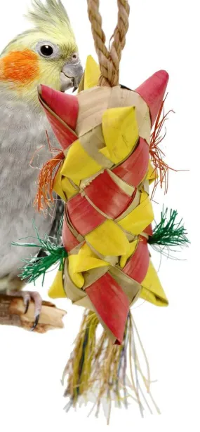 03423 Medium Carnival