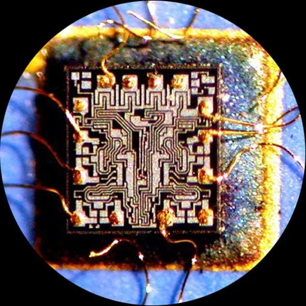 AmScope Outlet SW-2B Multi-Power Binocular Stereo Microscope 10X-30X Magnification On Pillar Stand with Top & Bottom LED Lights