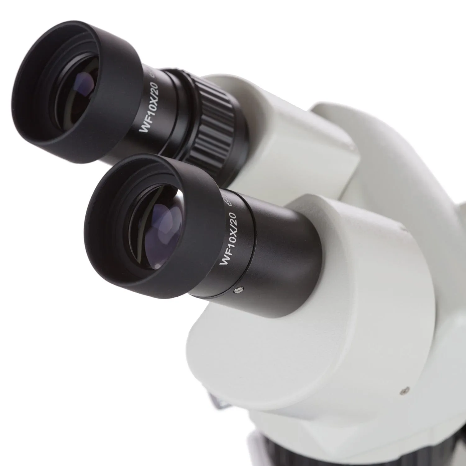 AmScope SW-2B Series Super Widefield Stereo Microscope 10X-30X Magnification on Pillar Stand With Halogen Top/Bottom Lights