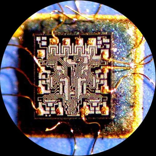 AmScope ZM-2 Series Ultimate Zoom Binocular Stereo Microscope 6.7X-90X Magnification on Pillar Stand with Two Lights