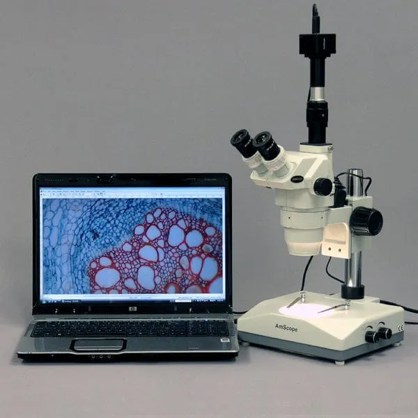 AmScope ZM-2 Series Ultimate Zoom Trinocular Microscope 6.7X-45X Magnification on Pillar Stand with Two Lights