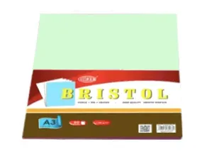 Bristol Paper 180gsm, A3 Size, 50Sheets-Pack Green