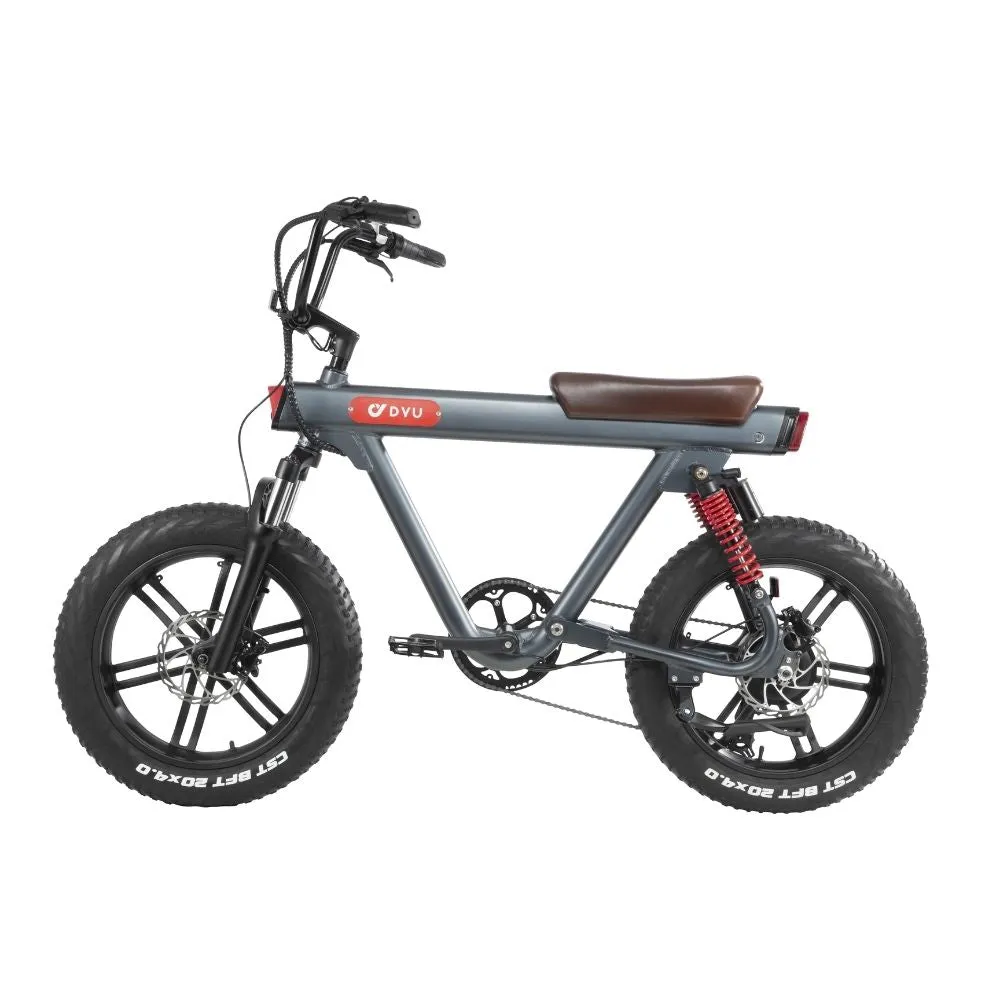 DYU V8 48V/15.5Ah 750W Electric Bike