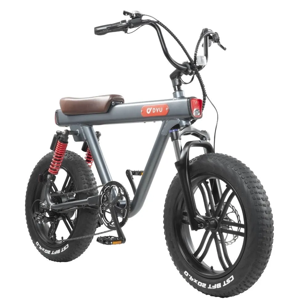 DYU V8 48V/15.5Ah 750W Electric Bike