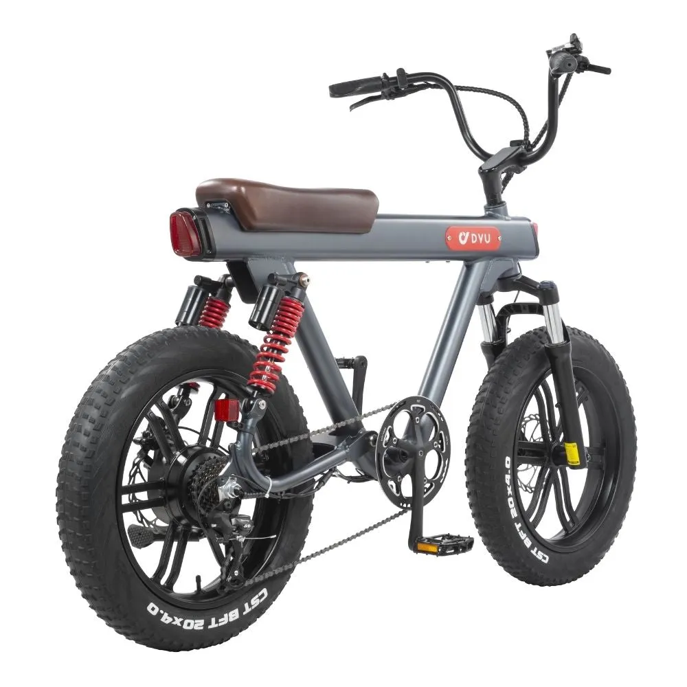 DYU V8 48V/15.5Ah 750W Electric Bike