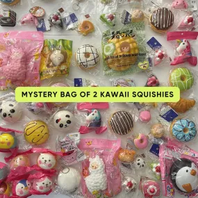 MYSTERY BAG OF 2 KAWAII SQUISHIES
