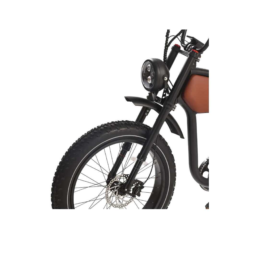 Revi Bikes Prowler Retro Vintage 52V 1000W Electric Bike